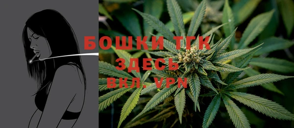 соль ск Елизово