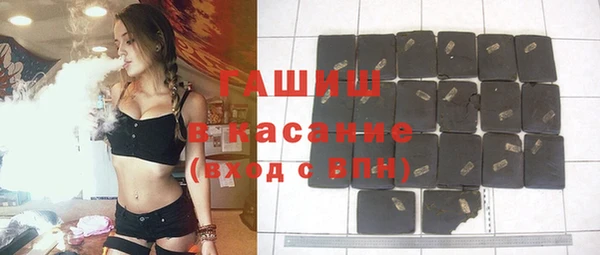гашик Елабуга