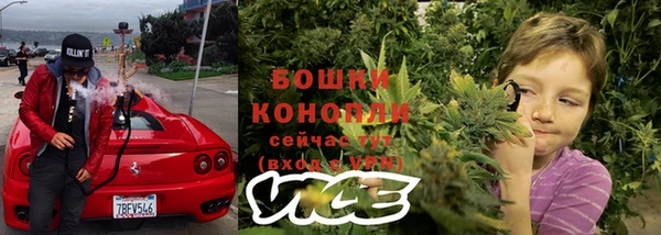 соль ск Елизово