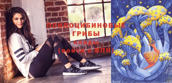 мдма Ельня